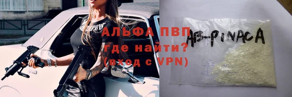 молекула духа Арсеньев