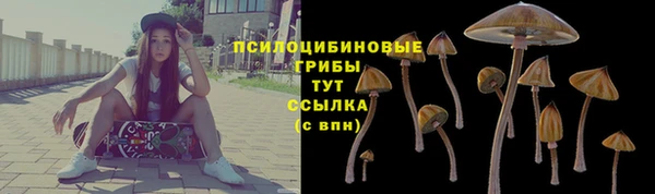 молекула духа Арсеньев