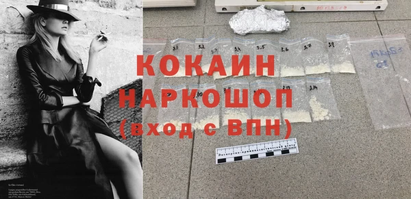 молекула духа Арсеньев