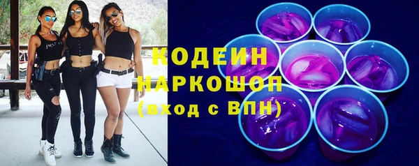 молекула духа Арсеньев
