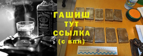 молекула духа Арсеньев